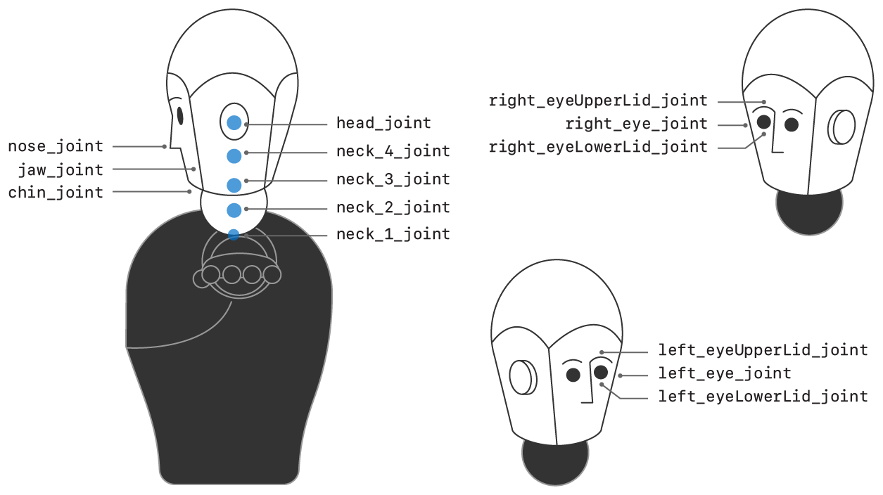 Illustration showing just the head and neck portion of the humanoid character, with the joint names labeled.