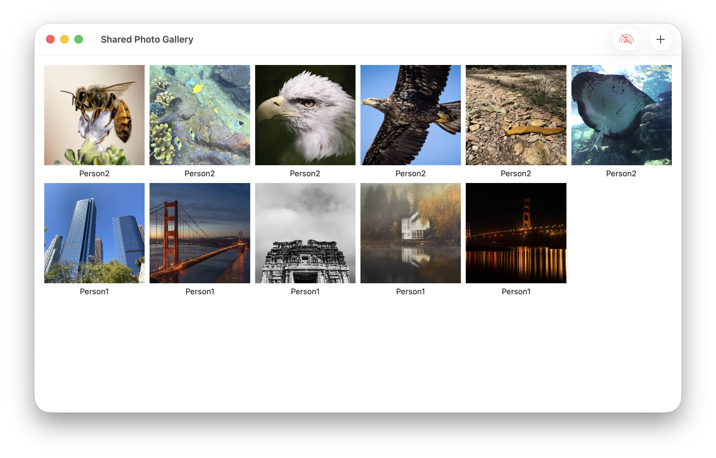 Creating a collaborative photo gallery with SharePlay | Apple Developer ...