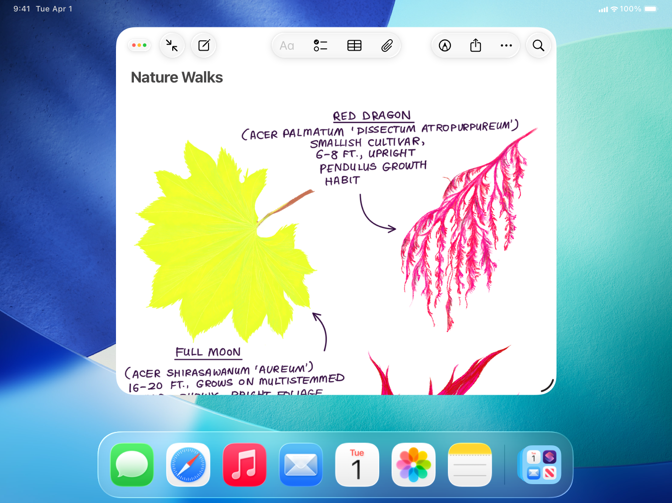 A screenshot of the Notes app in a window on iPad, with an open document titled Nature Walks. The document window occupies the center of the screen, with the Home Screen background filling the rest of the screen behind it, and the Dock at the bottom.