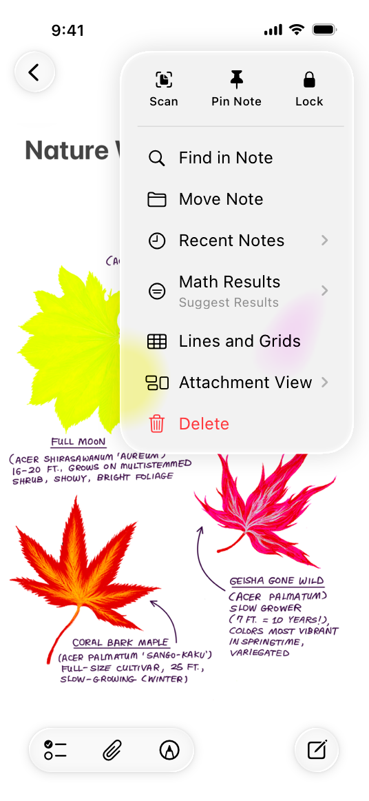 A screenshot of the Notes app on iPhone, open to a Notes document titled Nature Walks. The More button in the top toolbar is expanded, revealing the More menu with additional funtionality.