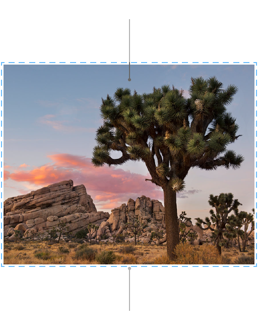 UIPageViewController