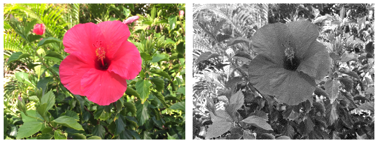 Photos showing the original image and the dithered image.