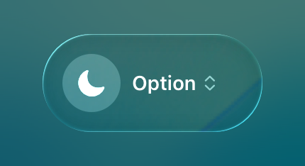 A representation of a control with the ability to set an option to a value a person chooses.