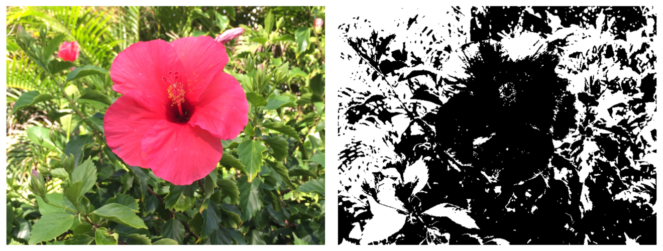 Photos showing the original image and the dithered image.
