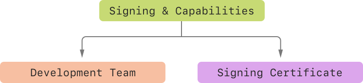 Turning on Mac Catalyst | Apple Developer Documentation