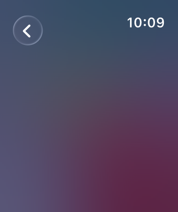 A screenshot that shows a top toolbar with a custom Back button at the top of the screen on Apple Watch.