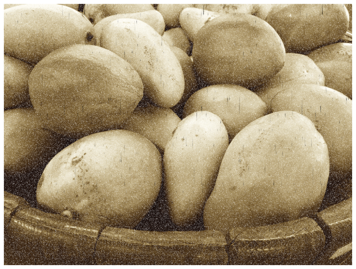 Sepia-toned image of fruit augmented with speckle grain and dark scratches.