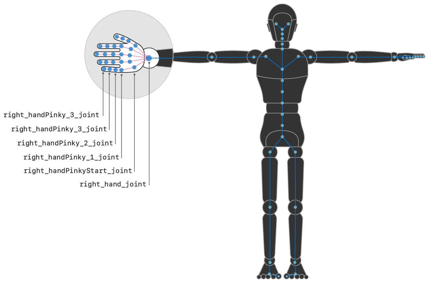 Illustration showing the right hand of the humanoid figure highlighted, with some of the joints named.