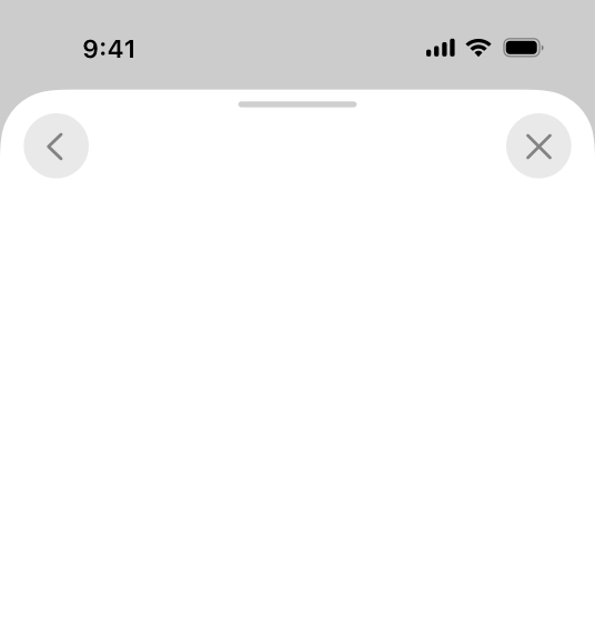 An illustration of the top half of a sheet on iPhone. A Back button appears in the top-left corner of the view, and a Cancel button appears in the top-right corner.