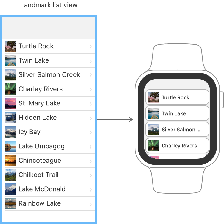 apple watch 5 tutorial