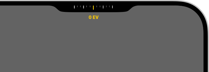 A partial screenshot of the Camera Control overlay displaying the system exposure bias control.