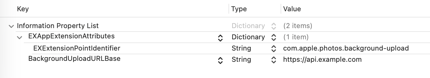 A screenshot of the required Info pane entries the asset resource upload extension must provide.