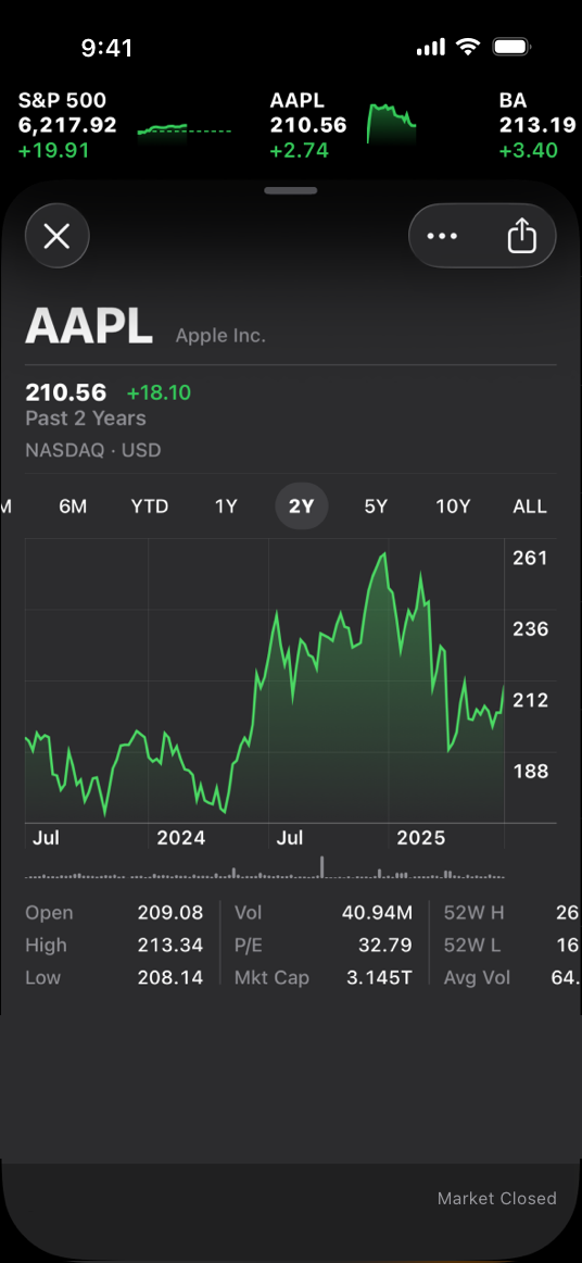 A screenshot of the Stocks app on iPhone in its standard dark-only appearance, showing the Apple Inc. stock in detail. The view includes a summary of the current stock price along with a graph of its performance over the past year.