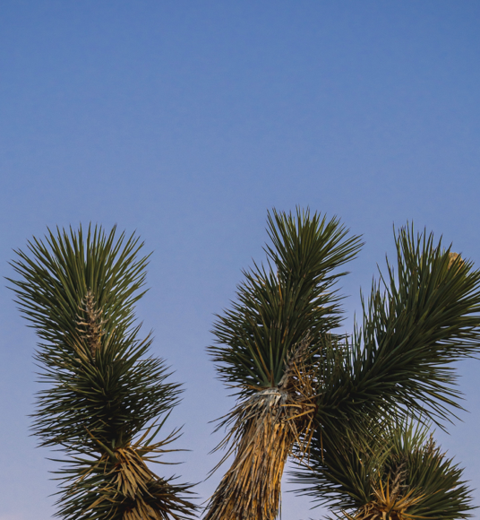 A screenshot of the top half of the Photos app on iPhone, showing a photo filling the screen. The status bar is hidden, and only the photo is visible.