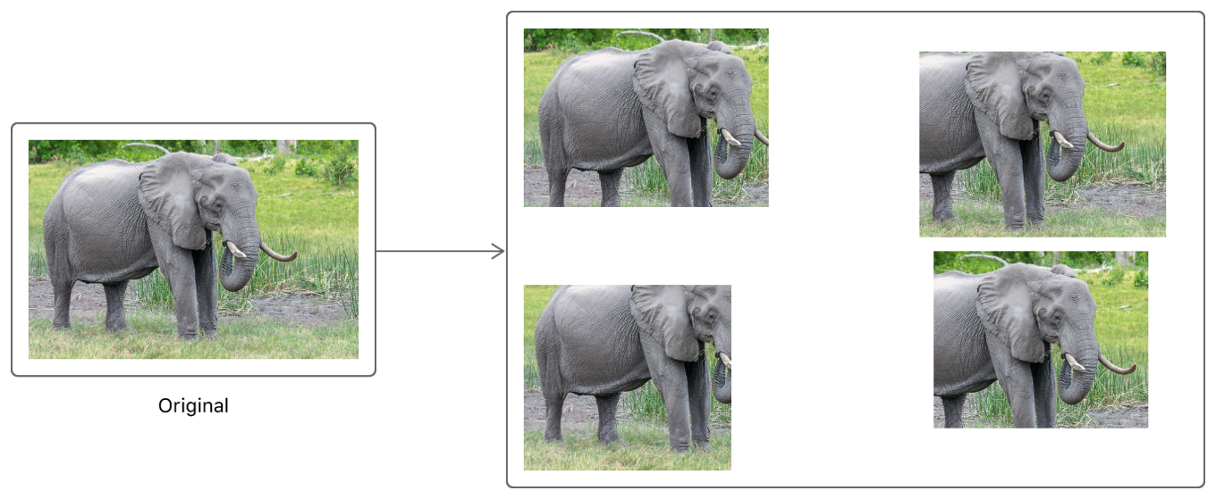 Diagram showing how the original image results in four cropped variants.