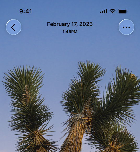 A screenshot of the top half of the Photos app on iPhone, showing a photo filling the screen. The status bar is visible at the top of the screen.