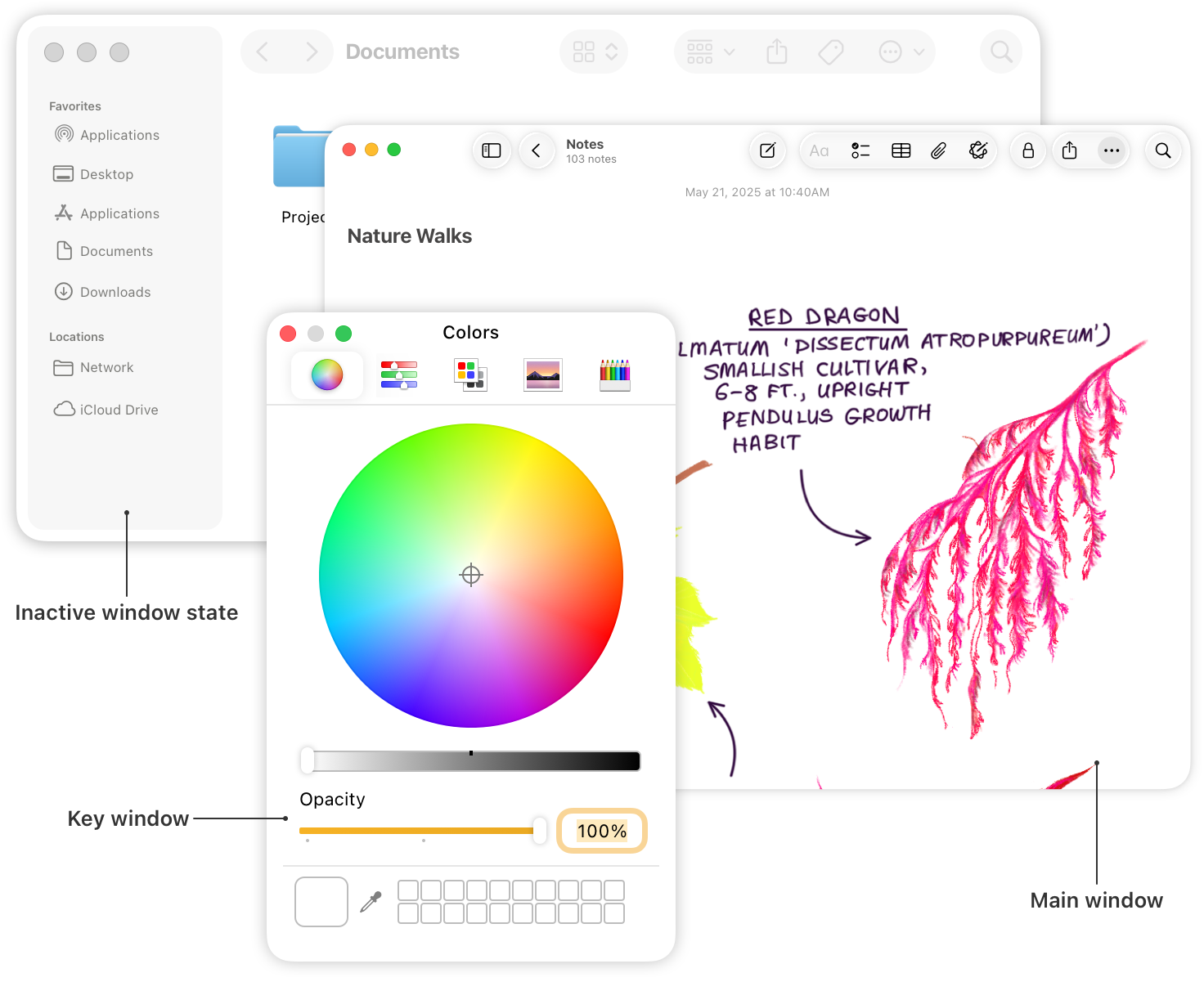An illustration of a stack of three windows, as follows: An inactive window in the background, an app’s main window in the middle, and a key window appearing above the other two windows.