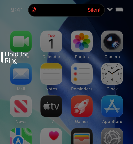 A partial screenshot of the Home Screen on iPhone that displays hint text for the Action button. The hint text is Hold for Ring.