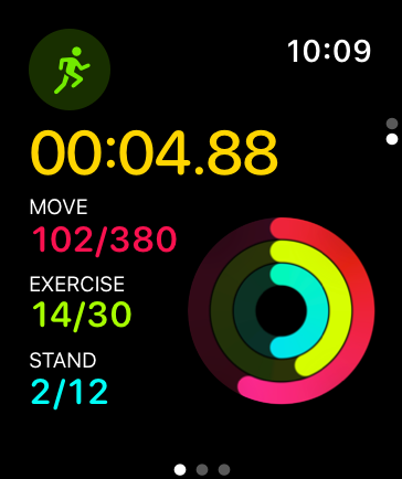 A screenshot of an in-progress workout screen that displays the current timer value, followed by a list of the current Move, Exercise, and Stand values. The screen also displays an image of the Activity rings, where the state of each ring represents the current value.