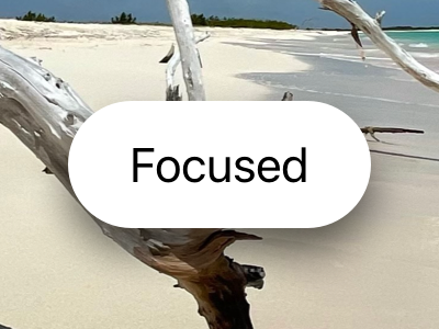 An image of a focused button on top of a photograph. It’s larger than an unfocused button, and a drop shadow makes it appear farther away from the content behind it, with an opaque white background and a black text label.