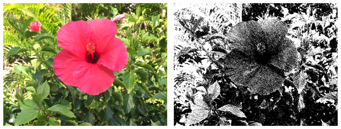 Photos showing the original image and the dithered image.