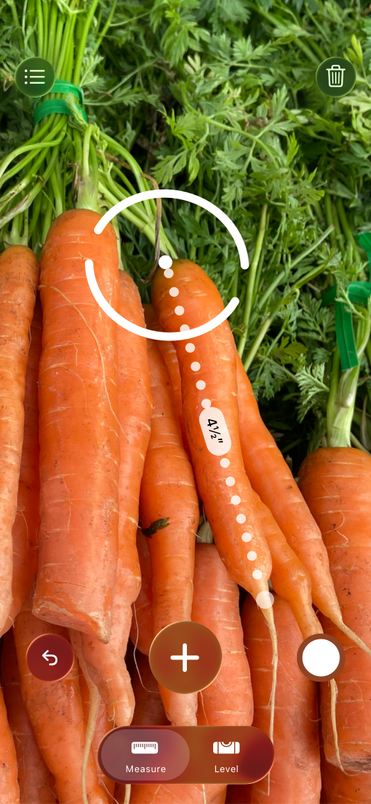 A screenshot of the Measure app on iPhone showing a bunch of carrots. A line segment extends from one end of a carrot to the other end. The measurement is four and a half inches.