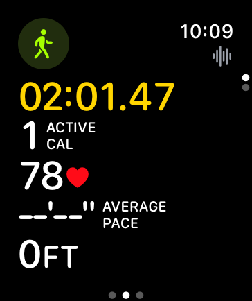 A screenshot of the middle Workout screen for an Outdoor Walk workout. Five lines of data are visible. From the top, the screen shows the elapsed time, the active calories, the current heart rate, the average pace, and the elevation.