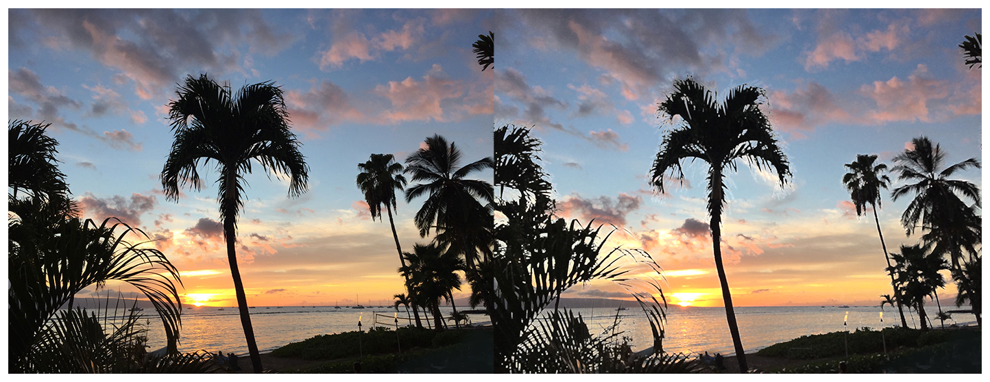 Two photographs of a beach at sunset with multiple palm trees. The photo on the left is clear and crisp. In the photo on the right, a morphology rectangle maximum blur has been applied, resulting in the palm trees becoming lighter and less distinct.