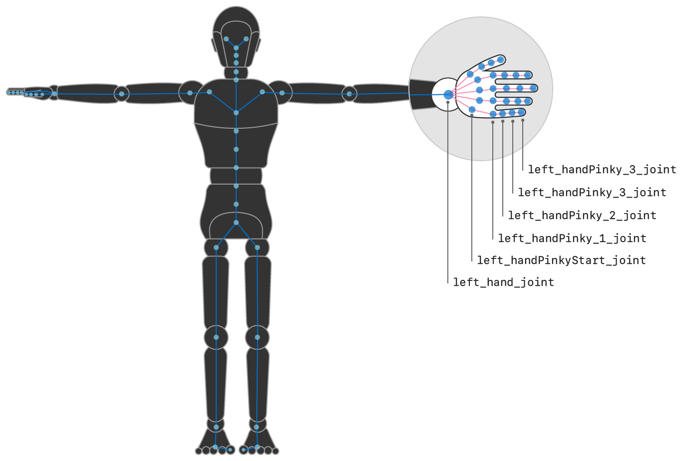 Illustration showing the left hand of the humanoid figure highlighted, with some of the joints named.