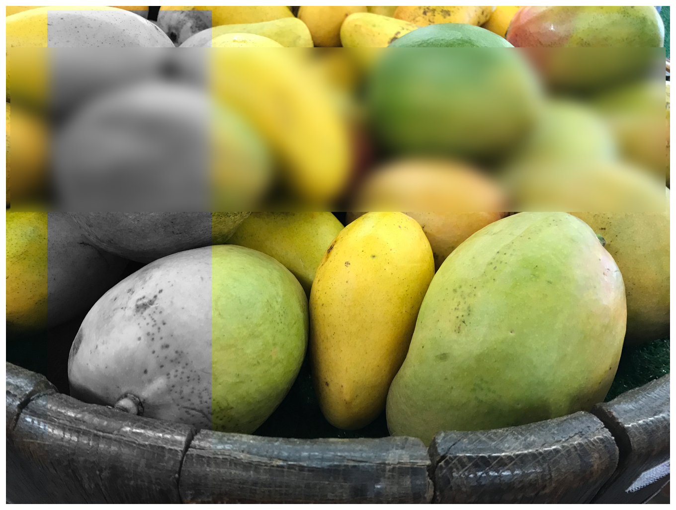Photograph with a blurred horizontal strip, and a monochrome vertical strip.