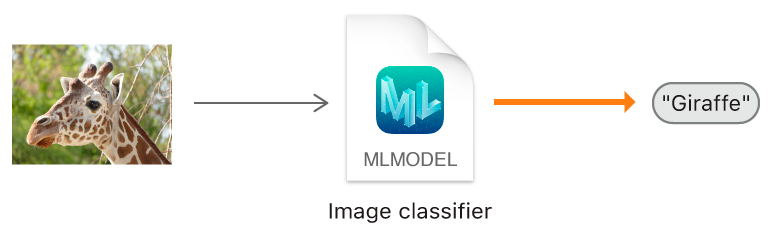 Diagram showing how an image classifier predicts the label "Giraffe" from an image of a giraffe.