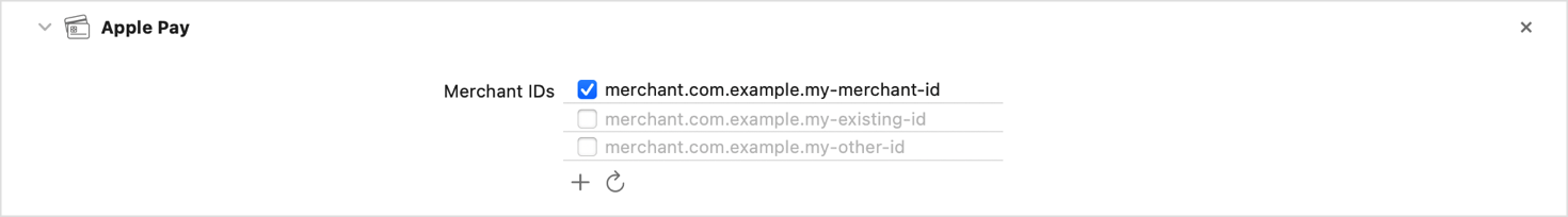 Configuring Apple Pay support | Apple Developer Documentation