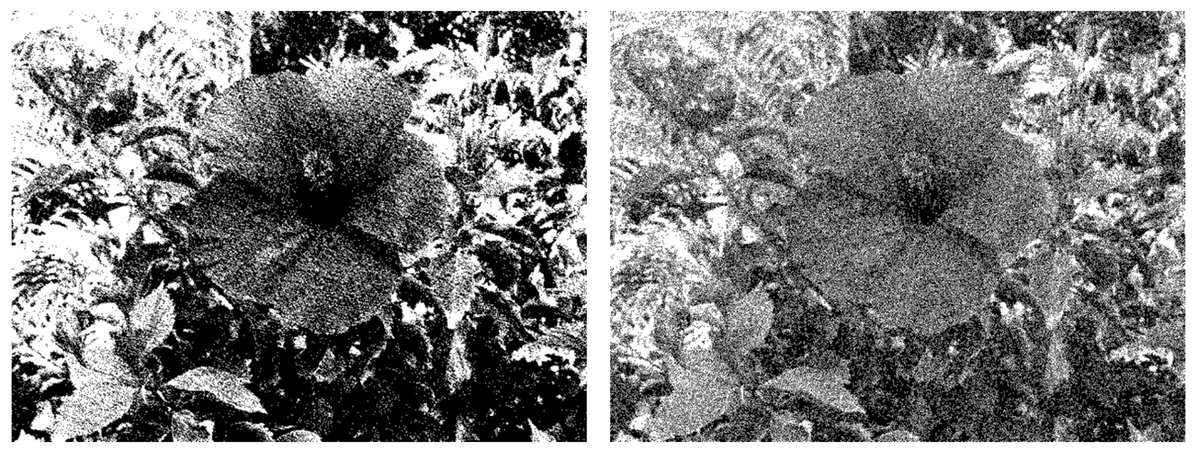 Photos showing images with different noise distributions applied during dithering.