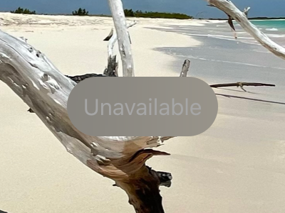 An image of an unavailable button on top of a photograph. It’s the same size as an unfocused button. It lacks a drop shadow and appears to rest directly on the content behind it, with a translucent background tinted by the the colors of nearby content, and a low-contrast text color.