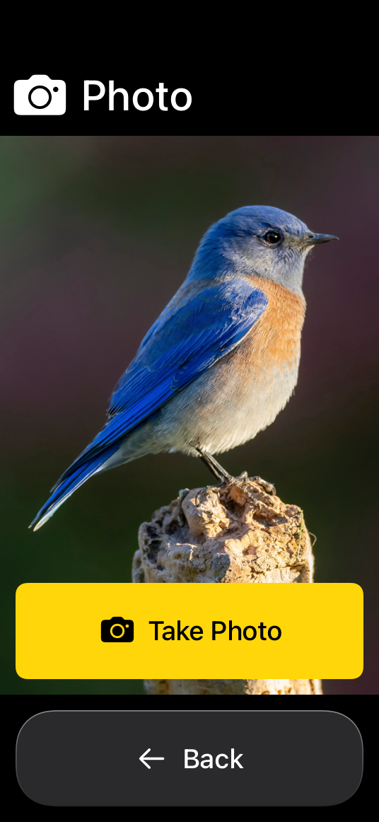 A screenshot of the Camera app open to the photo screen in Assistive Access, showing an interface with two large buttons: Take Photo and Back.