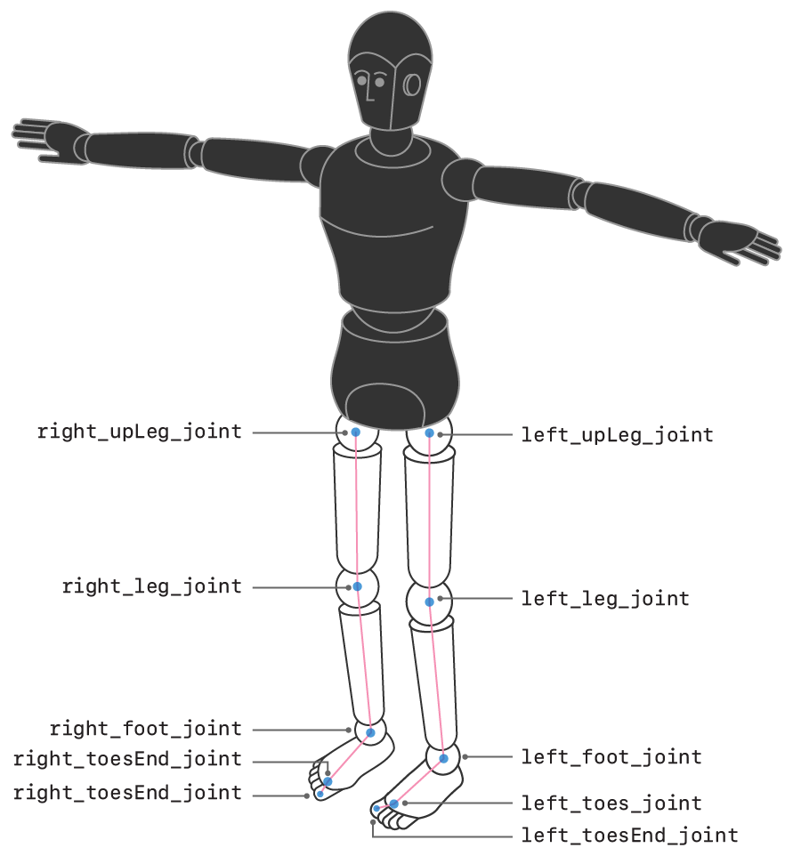 Illustration of a humanoid figure with the leg joints highlighted and labeled.