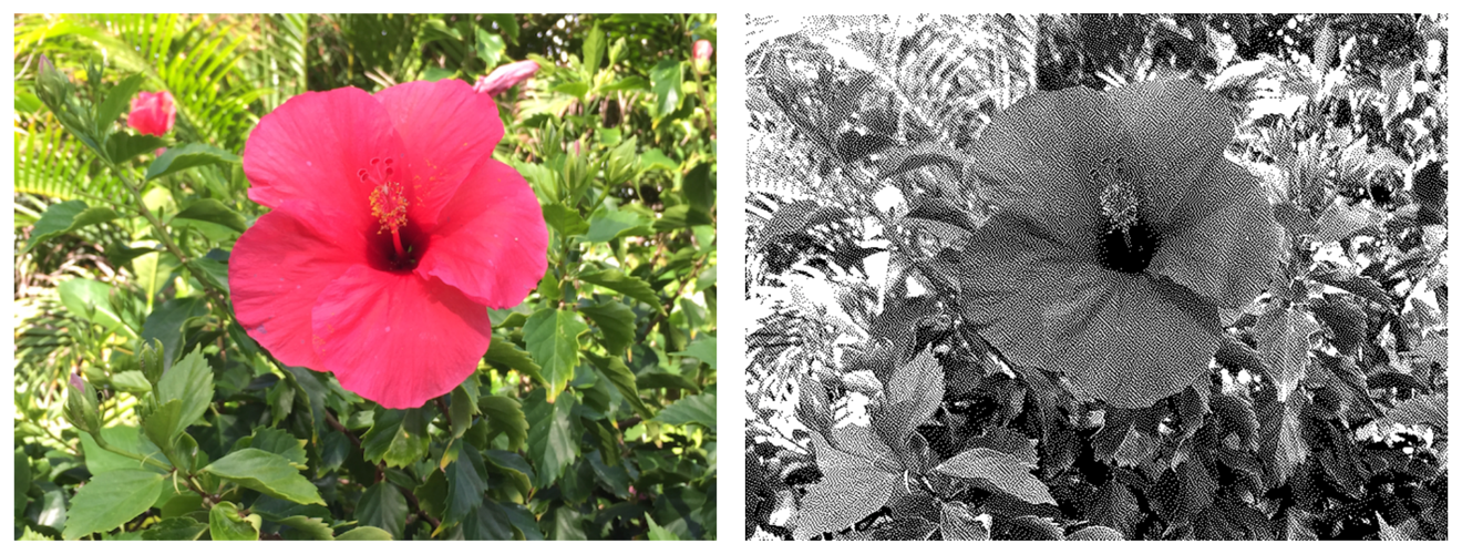 Photos showing the original image and the dithered image.