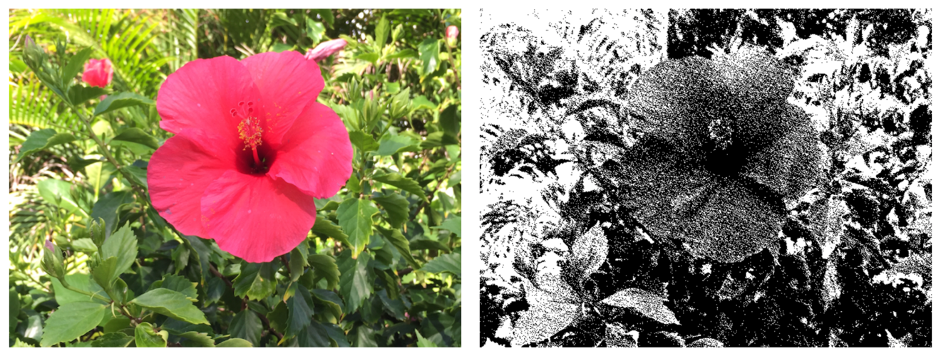 Photos showing the original image and the dithered image.