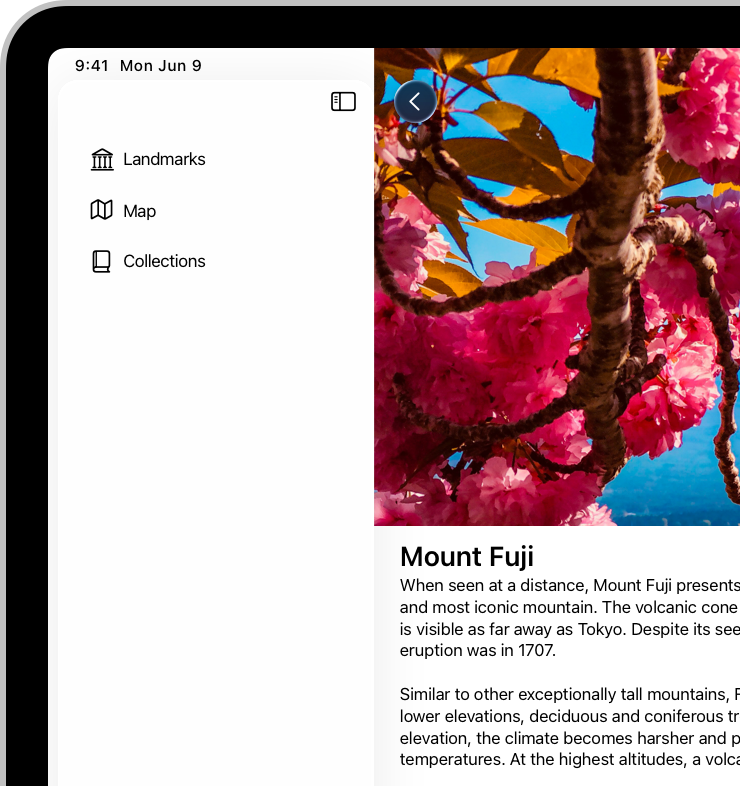 A screenshot of the leading side of an app on iPad. An image spans the upper part of the window, stopping at the edge of the sidebar.
