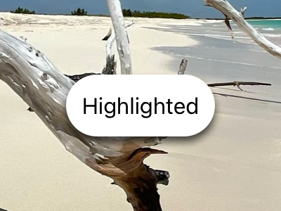 An image of a highlighted button on top of a photograph. It’s the same size as an unfocused button, and a drop shadow makes it appear a little farther away from the surface of the content behind it, with an opaque white background and a black text label.