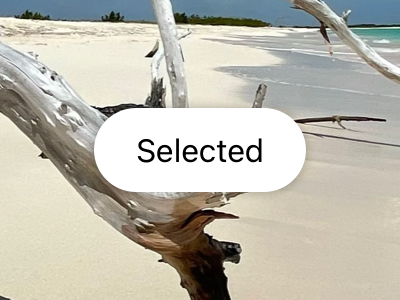 An image of a selected button on top of a photograph. It’s the same size as an unfocused button, and a small drop shadow makes it appear very close to the content behind it, with an opaque white background and a black text label.