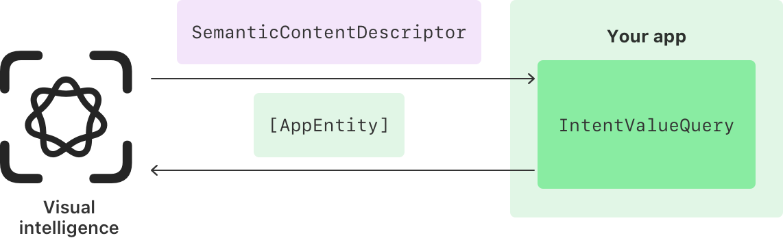 Vision Entity Integrating your app with visual intelligence | Apple Developer ...