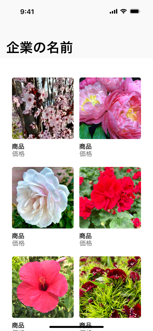 App Clip Apple Developer Documentation