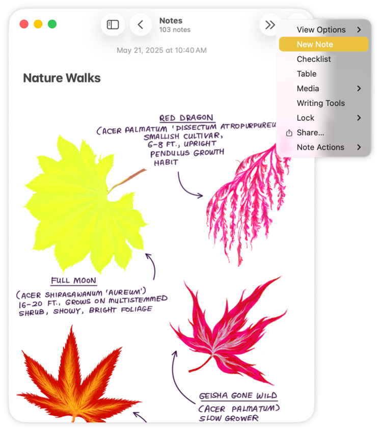 Toolbars | Apple Developer Documentation