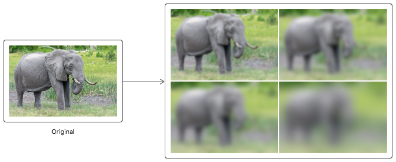 Diagram showing how the original image results in four blurred variants.