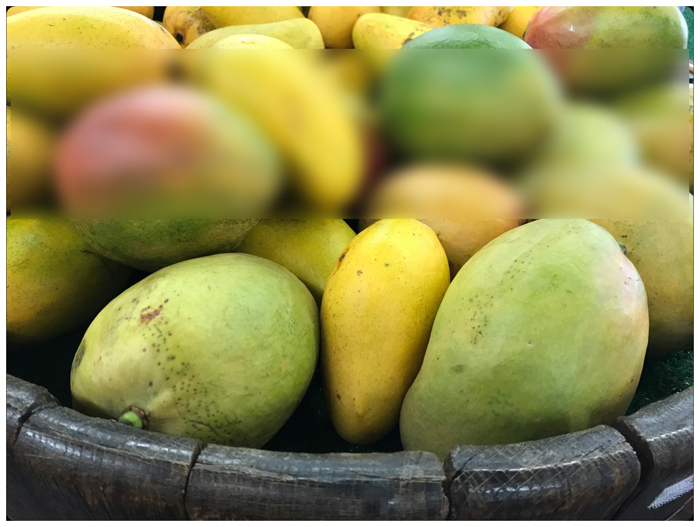 Photograph with a blurred horizontal strip.